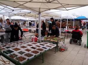 阿拉善展会爆料信息最新,绿色科技盛宴即将启幕 第3张 阿拉善展会爆料信息最新,绿色科技盛宴即将启幕 第3张